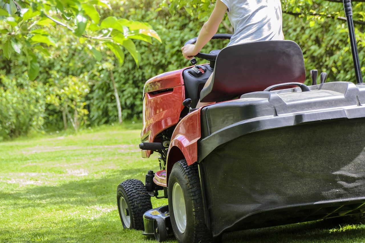 Home mowing the grass, gardening, lawn, garden, care, lawnmower, tractor, woman mowing, green, summer, nature, relaxation, automation, machine, garden accessories, hobby, grass